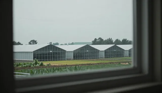 供应信息对接:性能与适用条件分析